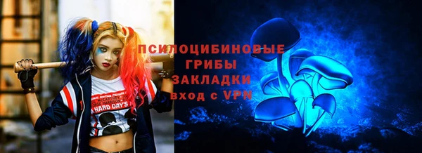 не бодяженный Алексин