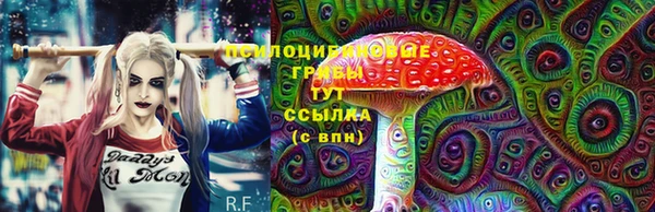 не бодяженный Алексин