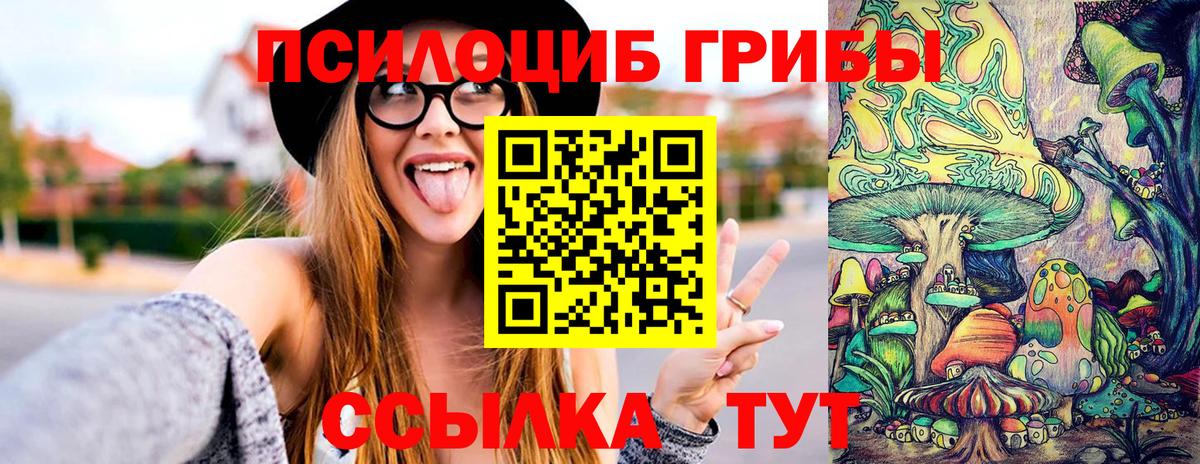 Галлюциногенные грибы прущие грибы Павлово