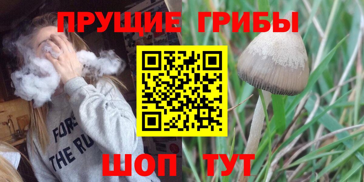 Галлюциногенные грибы GOLDEN TEACHER  Вход с VPN  Павлово 