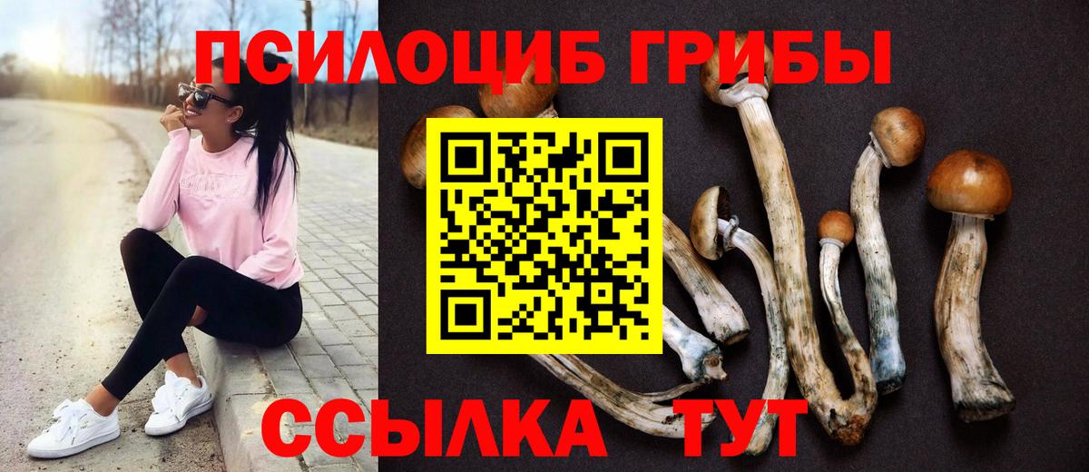 Псилоцибиновые грибы Павлово