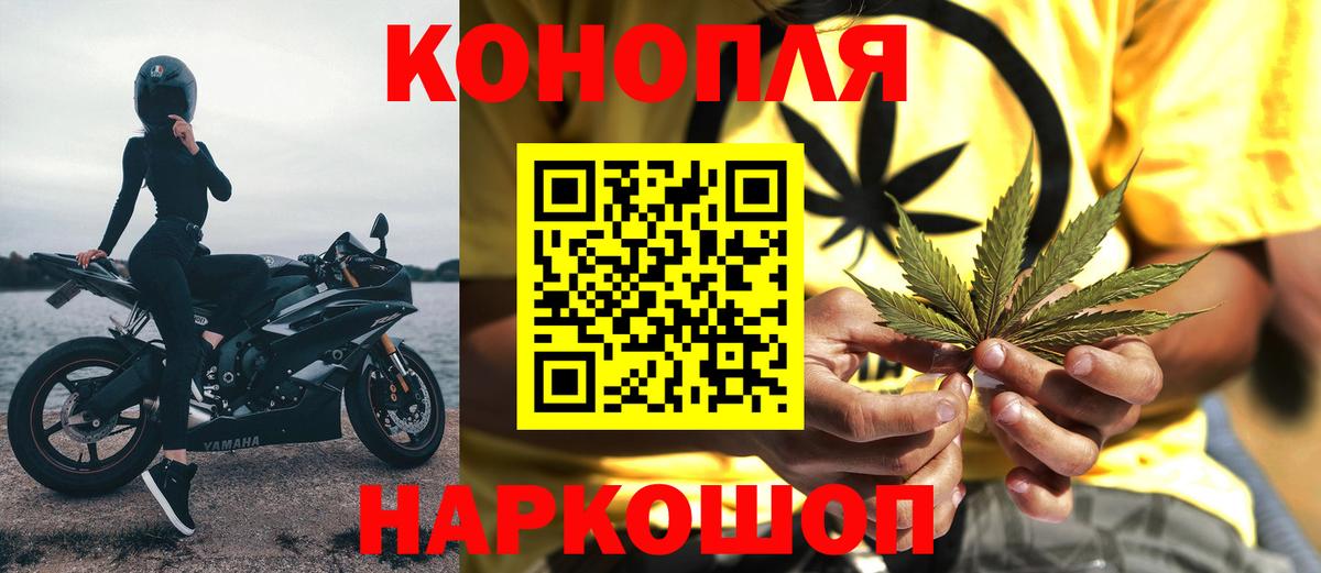 Канабис ГИДРОПОН  Марихуана White Widow  Павлово  Вход с VPN  Каннабис план 
